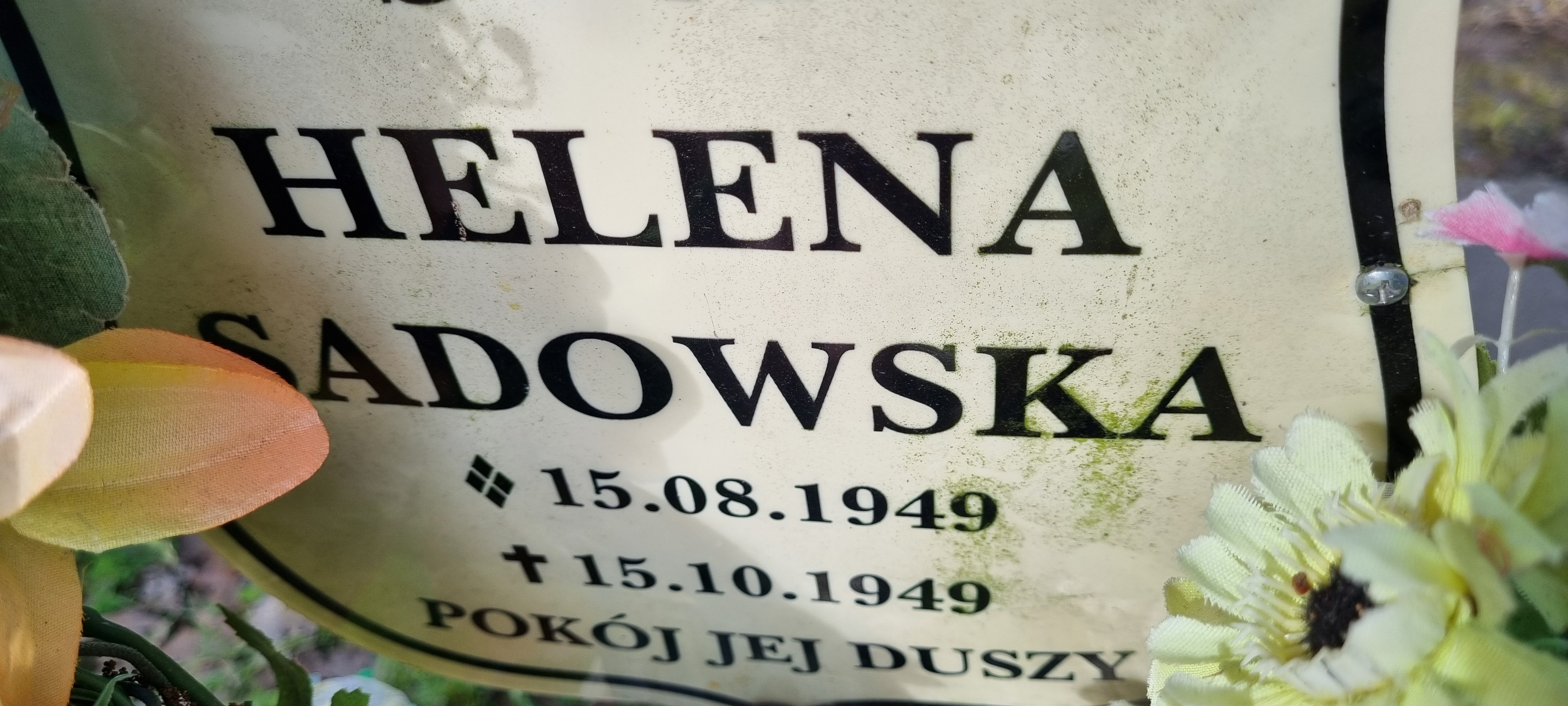 Helena Sadowska 1949 Świeszyno - Grobonet - Wyszukiwarka osób pochowanych